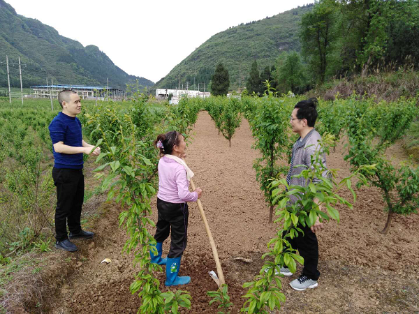 巡察镜头用心察民情