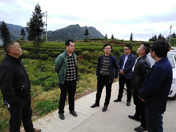 巡察镜头用心察民情