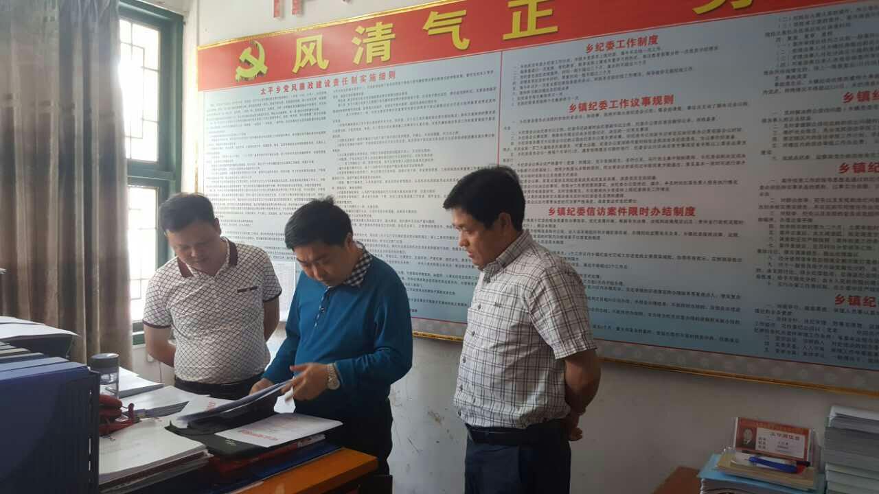 杜奎深入太平镇调研民生监督相关工作
