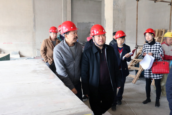 杜奎带队督查全县重大项目建设推进情况