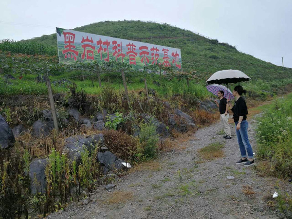 纪检人·镜头烈日暴雨下的民生“守护神”