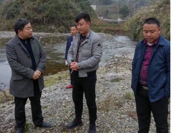 杜奎到桃映镇茶溪村河调研