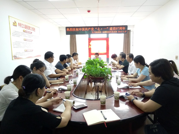建一线临时党支部  夯基层巡察“主心骨”