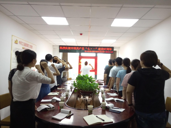 建一线临时党支部  夯基层巡察“主心骨”