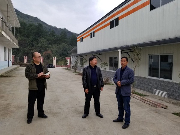 杜奎暗访“大棚房”清理整治工作