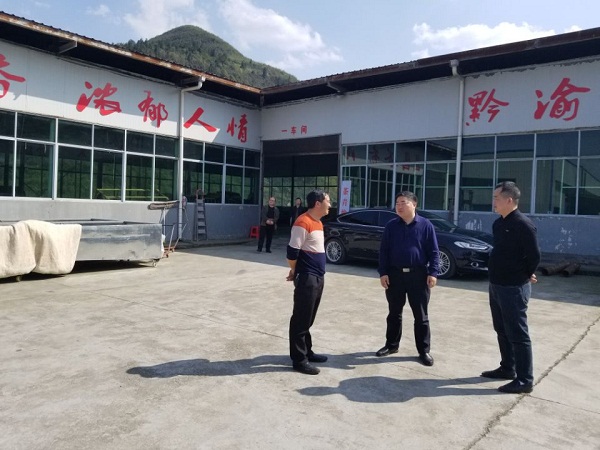 杜奎暗访“大棚房”清理整治工作