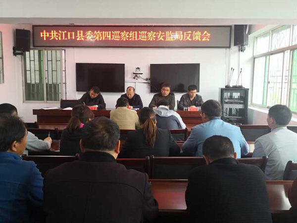十三届县委第五轮巡察第四巡察组向安监局反馈巡察情况