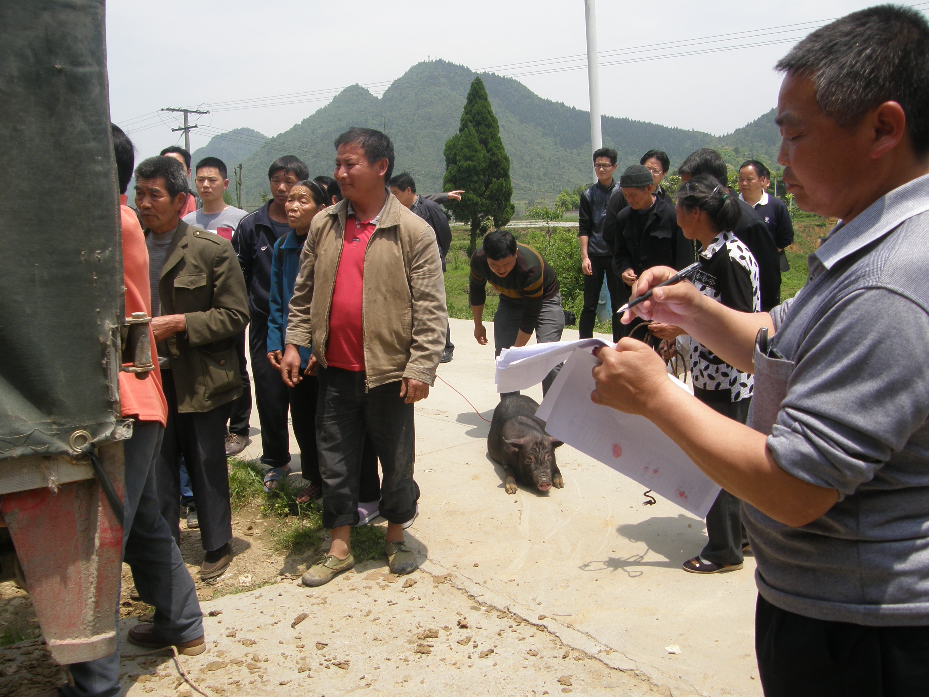 转作风，接地气，解民忧
