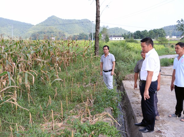 刘德忠深入骆象村督导抗旱及精准扶贫工作