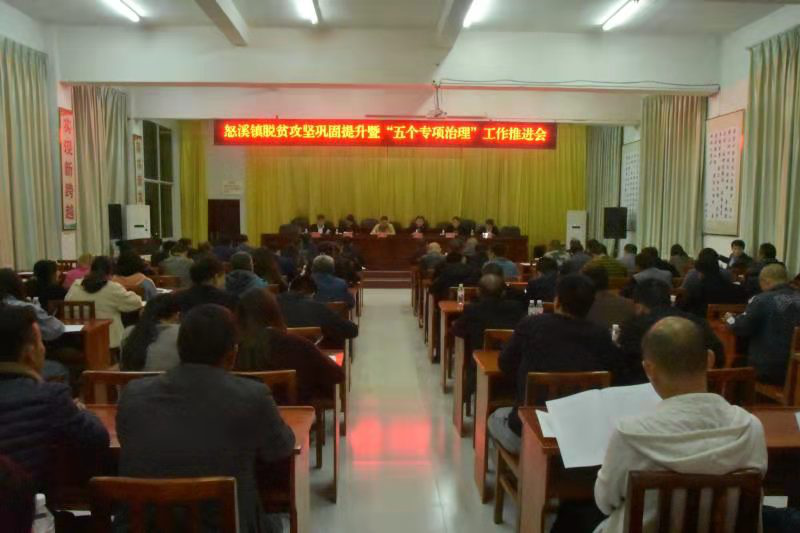 杜奎到怒溪镇指导脱贫攻坚巩固提升暨“五个专项治理”工作