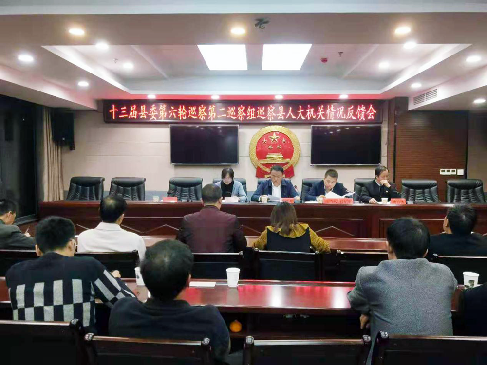 县委第二巡察组向县人大办反馈巡察情况