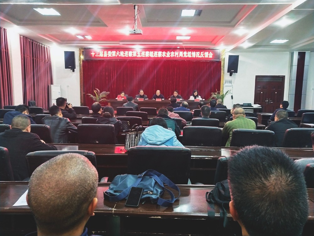 十三届县委第五巡察组向农业农村局反馈巡察情况