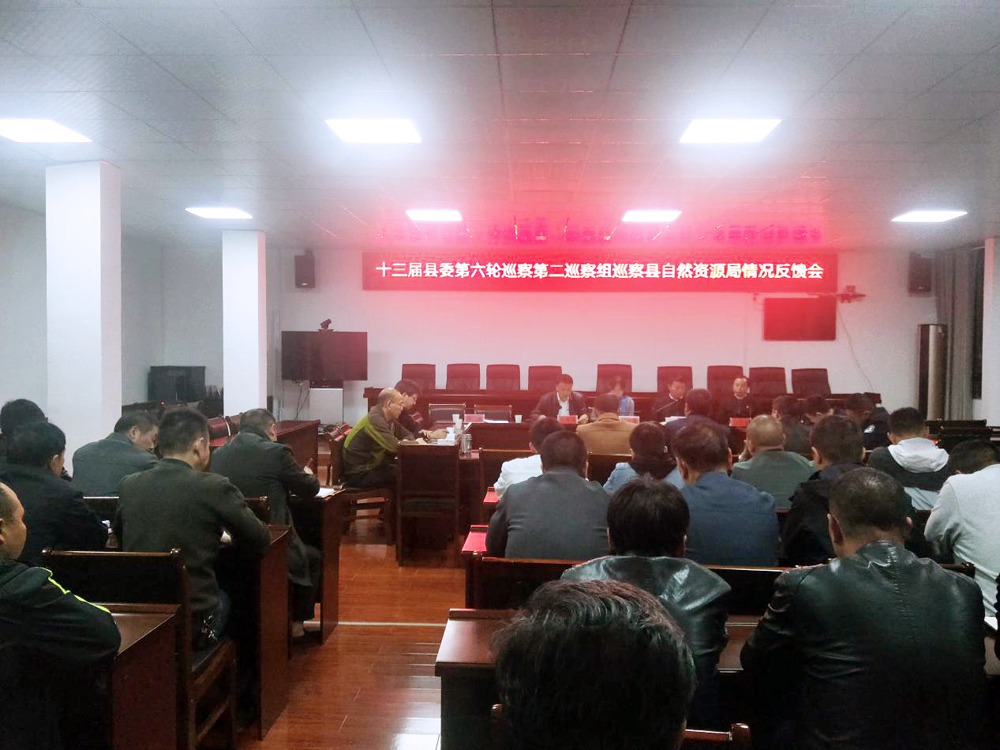 十三届县委第二巡察组向县自然资源局反馈巡察情况
