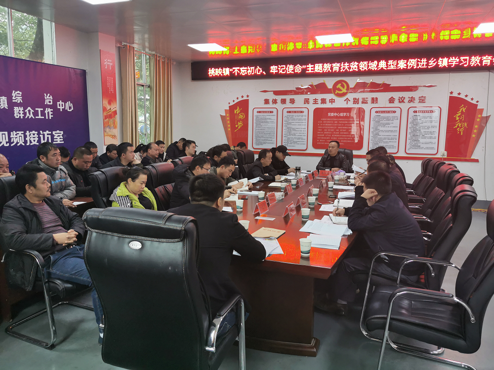 桃映镇召开“不忘初心、牢记使命”主题教育扶贫领域典型案例警示教育大会