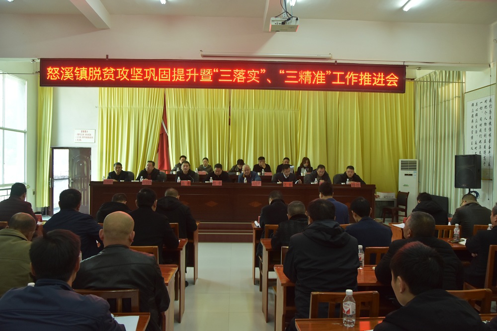杜奎到怒溪镇指导脱贫攻坚巩固提升暨“三落实、 三精准”工作