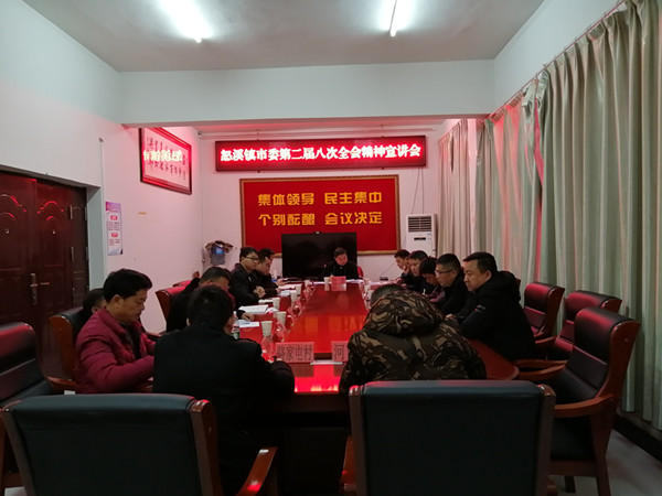 杜奎到怒溪镇宣讲中央及省市全会精神