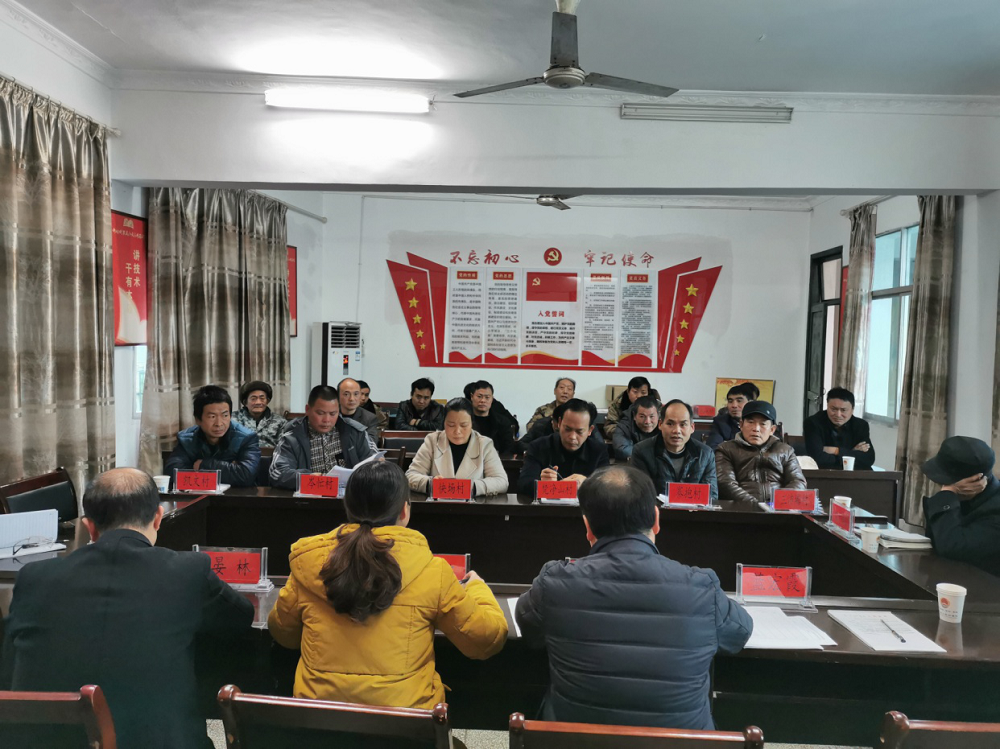 太平镇召开2019年度村务监督委员会工作总结大会