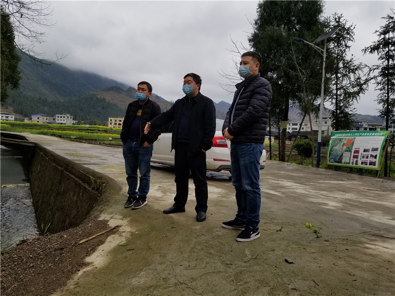 杜奎到怒溪镇、太平镇督导脱贫攻坚和复工复产及国家储备林建设工作