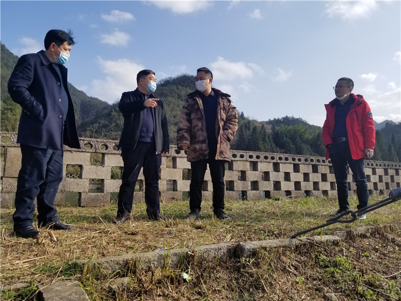 杜奎到怒溪镇、太平镇督导脱贫攻坚和复工复产及国家储备林建设工作