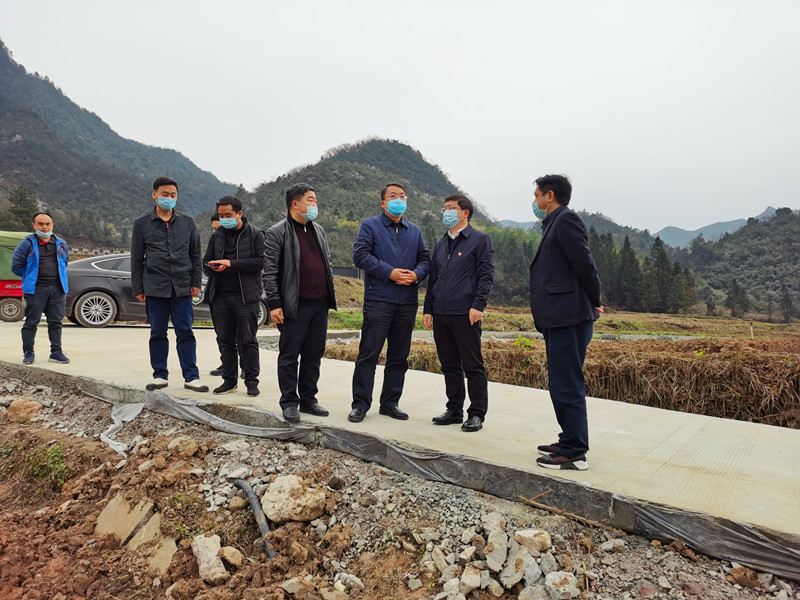 蒋兴勇深入太平镇岑忙村督导工作