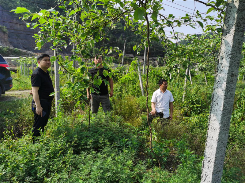 杜奎到民和镇军屯村调研督导脱贫攻坚工作