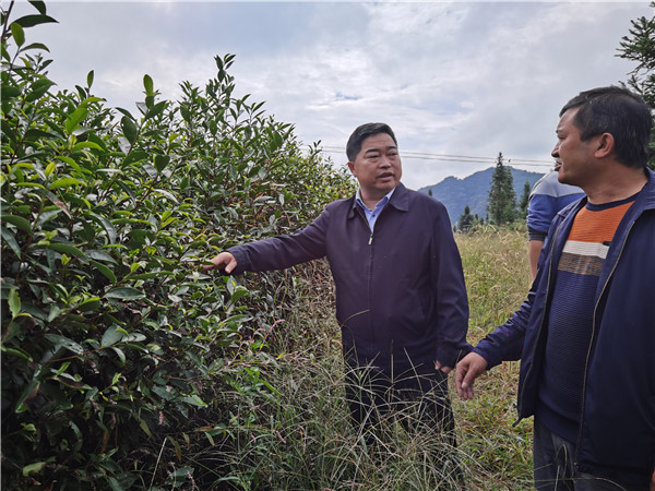 杜奎到怒溪镇暗访督查脱贫攻坚工作