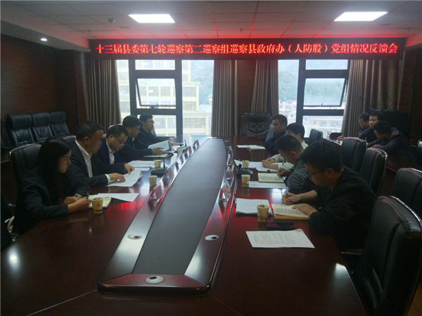 县委第二巡察组向县政府办党组反馈巡察情况