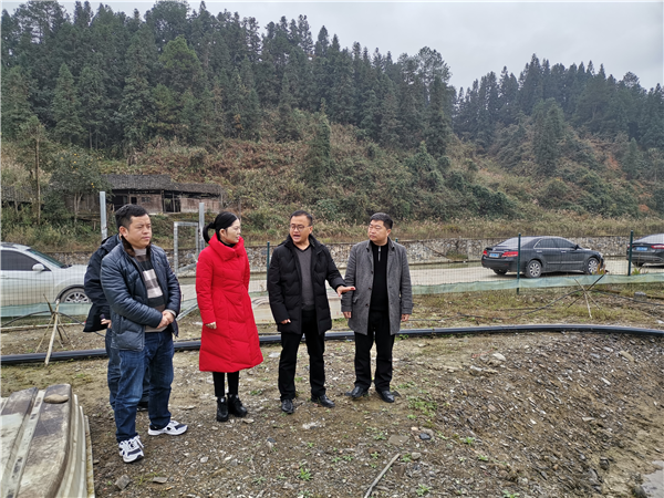 于红到江口县坝盘镇调研指导工作