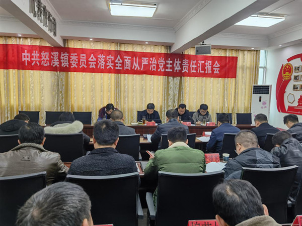 杜奎检查怒溪镇党委落实全面从严治党主体责任工作
