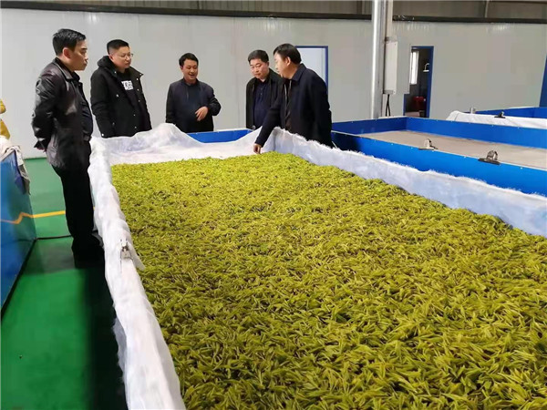 黄道成到江口县调研工作