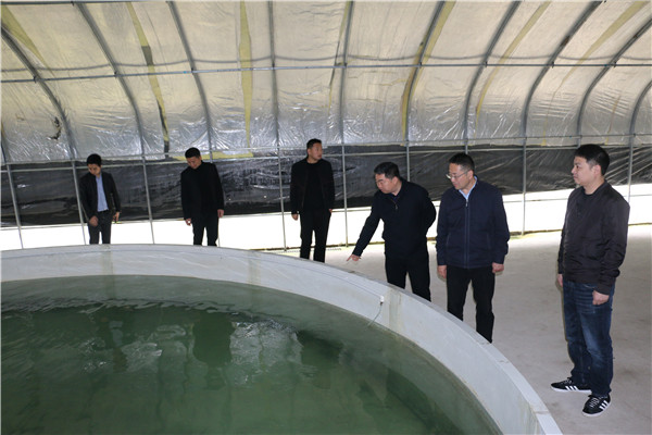 钟汰甬到江口开展“访村寨、重监督、助振兴”专项行动