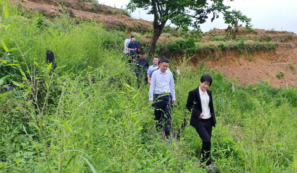 冷雪梅到江口调研督导巡察整改示范点建设