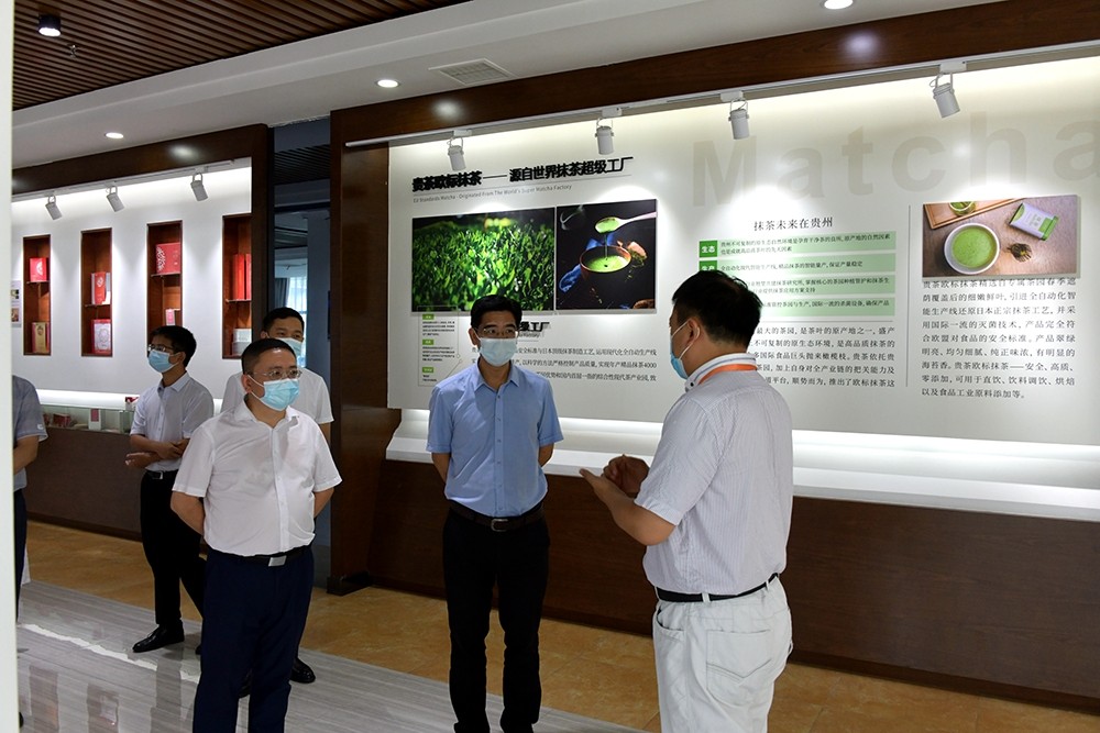 罗雁冰到江口县调研企业发展和纪检监察工作