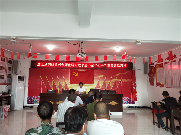 唐永湖到怒溪镇骆象村宣讲习近平总书记“七一”重要讲话精神