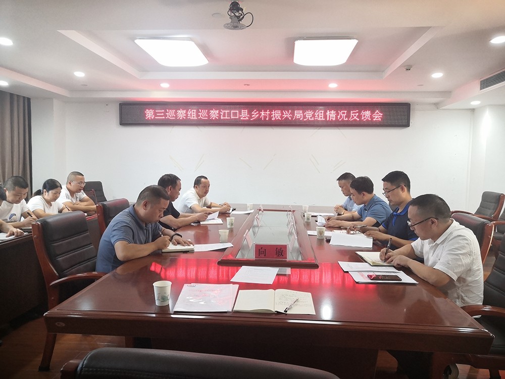 十三届县委第九轮巡察第三巡察组向乡村振兴局党组反馈巡察情况