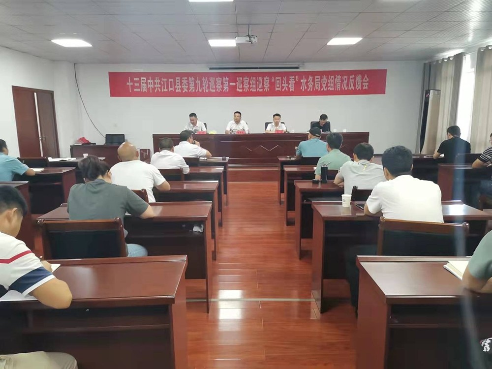 十三届县委第九轮巡察第一巡察组向水务局党组反馈巡察情况