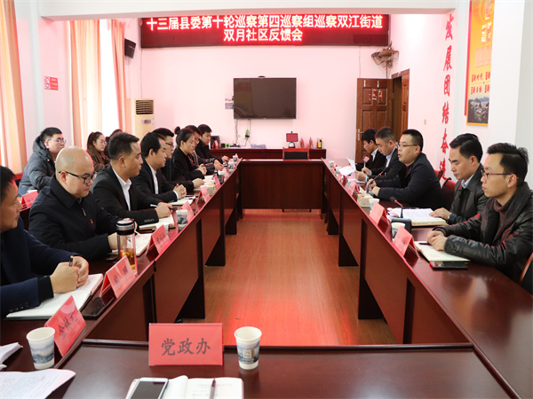 十三届县委第十轮巡察第四巡察组巡察双江街道双月社区反馈会