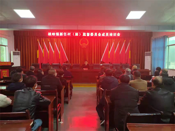 桃映镇召开2021届新任村（居）监督委员会 成员培训会
