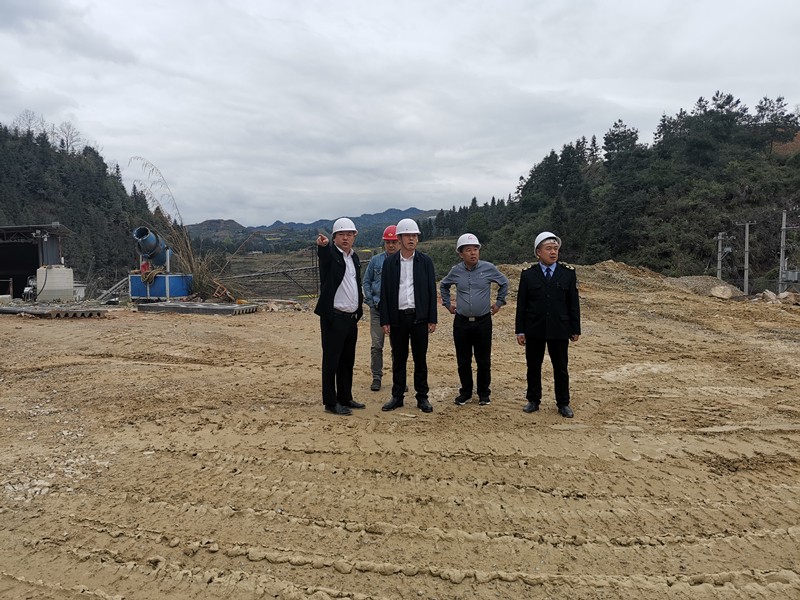 唐永湖到桃映镇开展巡河及安全生产、生态环保调研督导工作