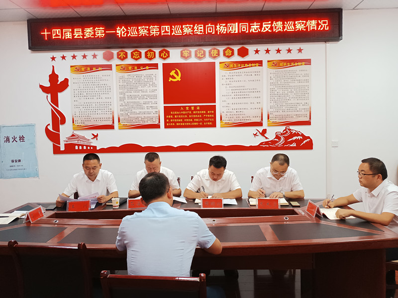 十四届县委第一轮巡察第四巡察组向县自然资源局党委反馈巡察情况