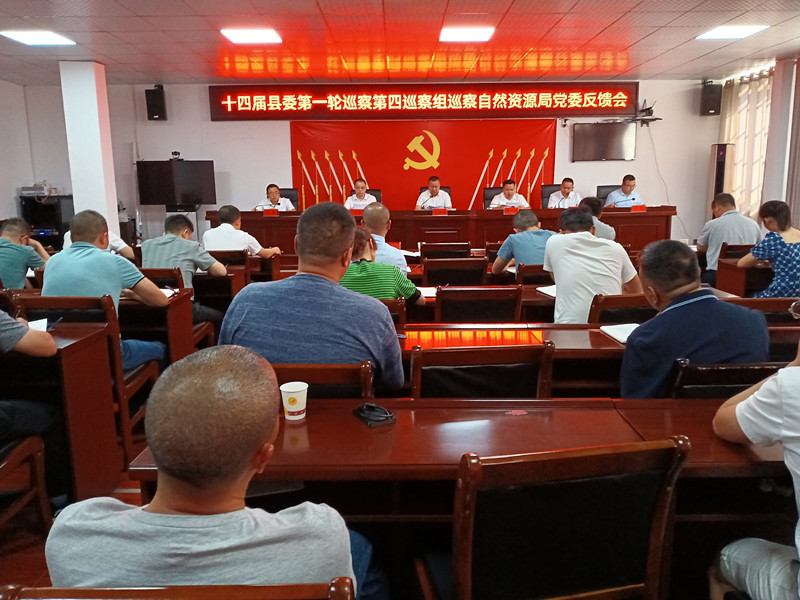 十四届县委第一轮巡察第四巡察组向县自然资源局党委反馈巡察情况