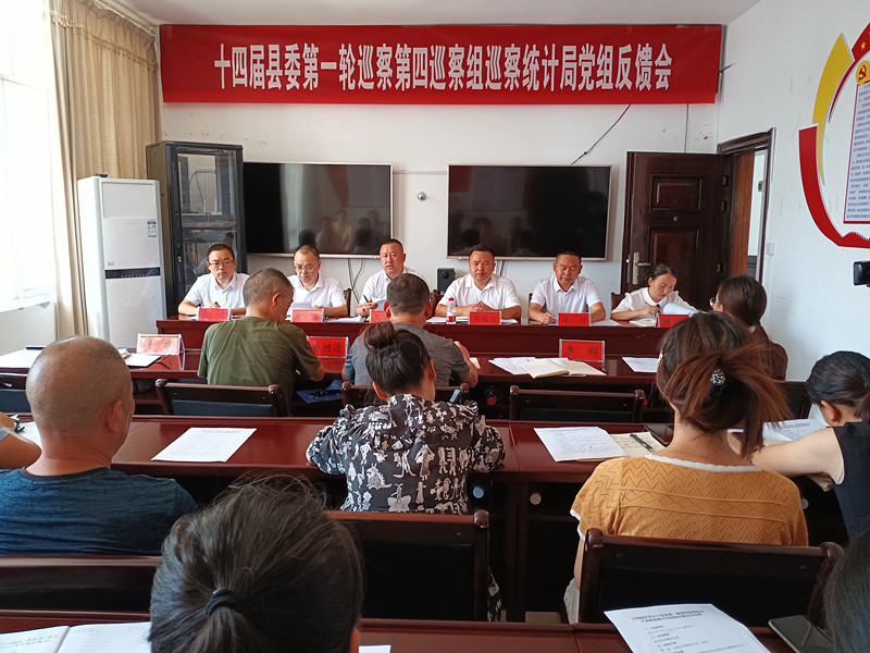 十四届县委第一轮巡察第四巡察组向县统计局党组反馈巡察情况