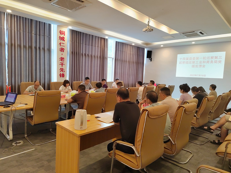 十四届县委第一轮巡察第三巡察组向县工业和商务局党组反馈巡察情况