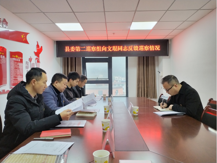 十四届县委第三轮巡察第二巡察组向县直机关工委反馈巡察情况