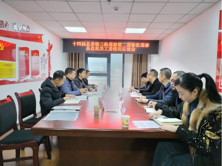 十四届县委第三轮巡察第二巡察组向县直机关工委反馈巡察情况