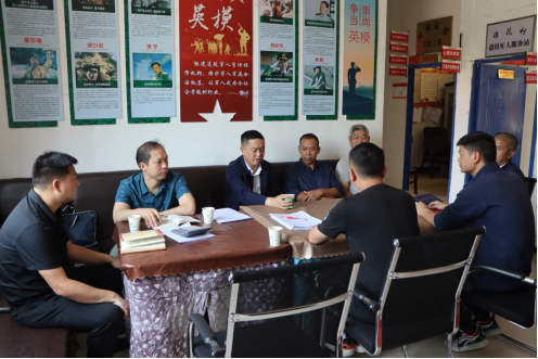 唐永湖到怒溪镇、桃映镇调研指导基层社会治理和基层监督体系建设工作
