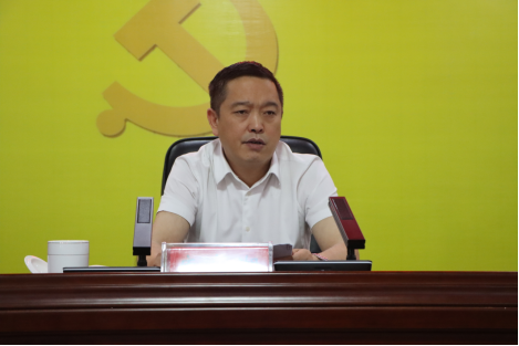 全县纪检监察干部队伍教育整顿工作推进会召开