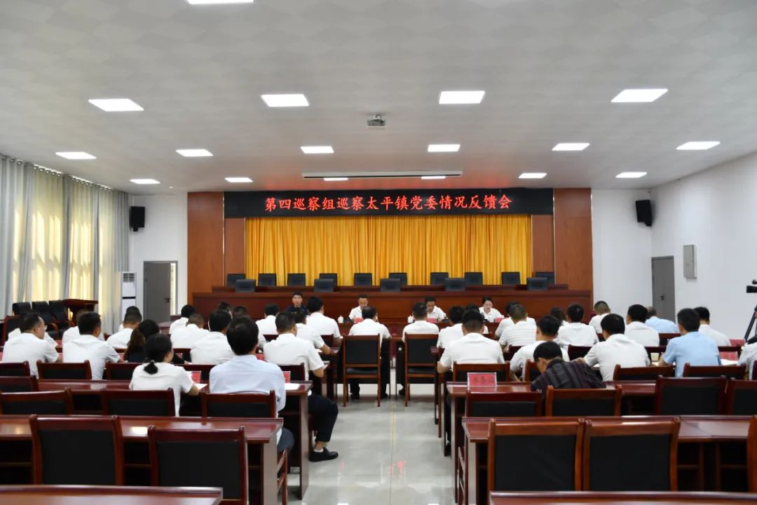 十四届县委第四轮巡察第四巡察组向太平镇党委反馈巡察情况